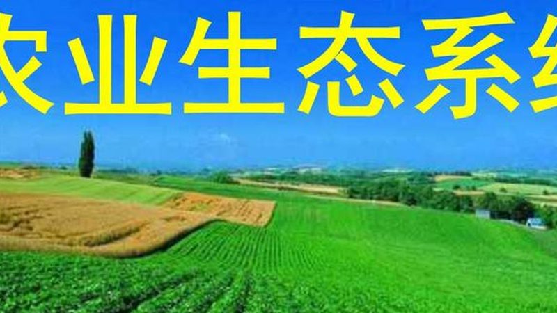 现代农业产业园建设：方案规划与报价解析**