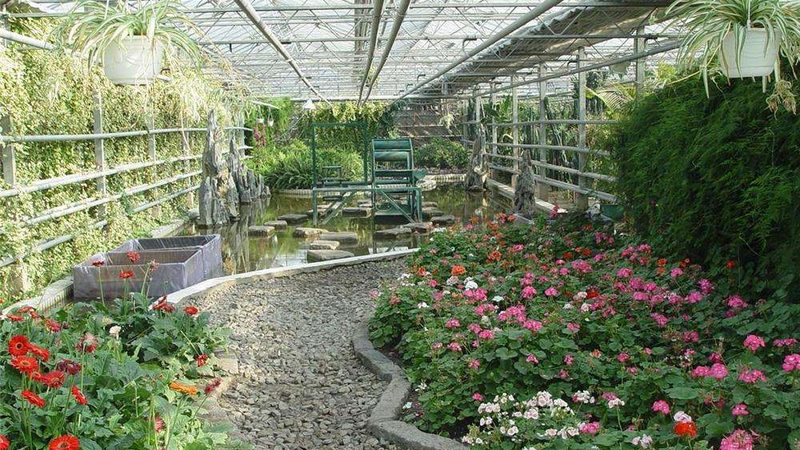 小麦种植成本解析：一亩地成本构成揭秘**