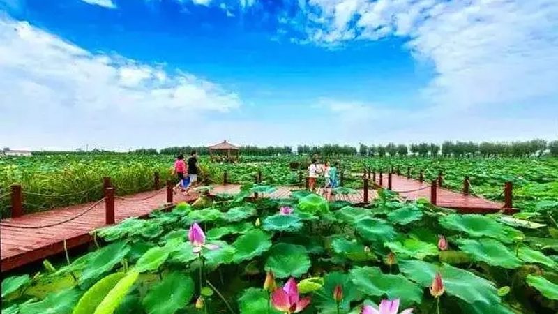 生鲜配送中心货架规格尺寸：如何科学规划布局