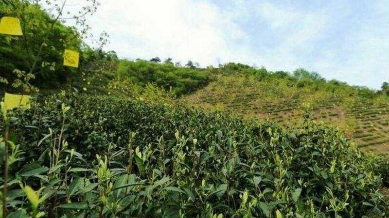 市场洞察：了解供需关系，精准定位