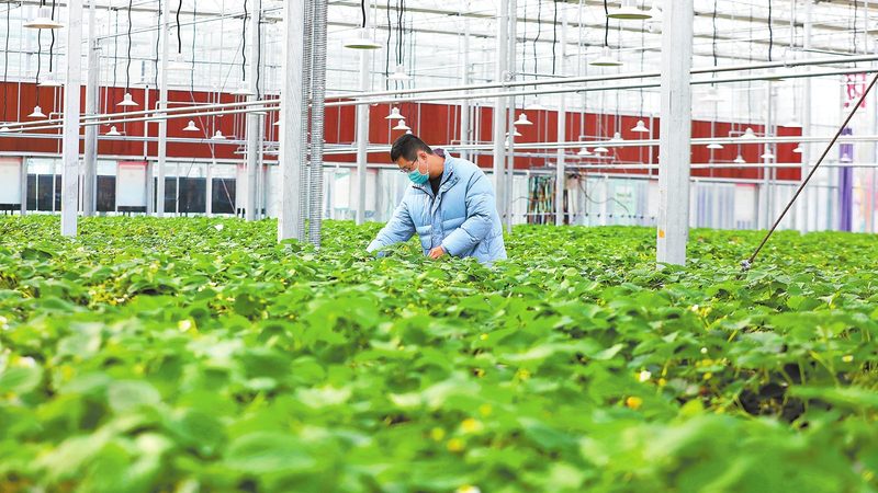 果蔬配送资质办理时间：从申请到拿证要多久