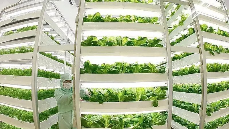 水肥一体化设备：现代农业的精准灌溉与施肥利器