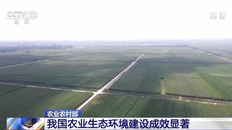 农产品直供排名背后的行业真相