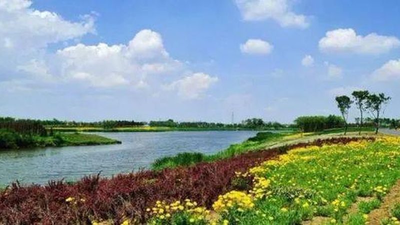山东农资批发市场的优劣势分析