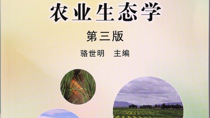 农产品供应链金融模式解析：构建高效流通桥梁