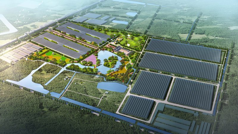 合作社的经营范围：种植类合作社如何拓宽服务领域**