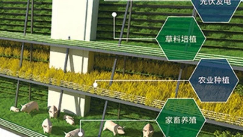 农民专业合作社的经营范围，这样写才合规又实用