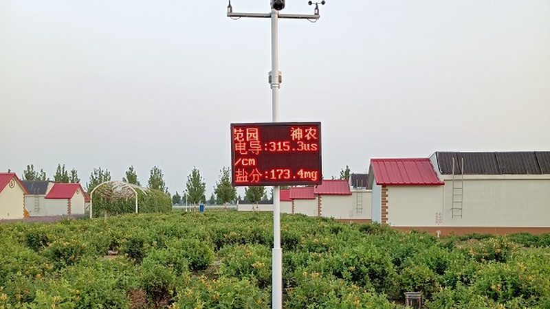 蔬菜水果配送报价单模板：制作指南与关键要素解析