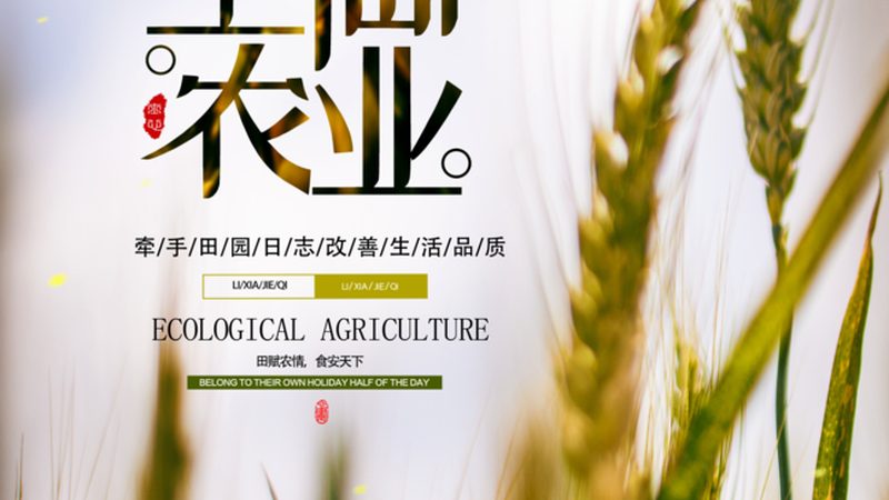 有机种植病虫害防治：绿色防控，守护农田健康